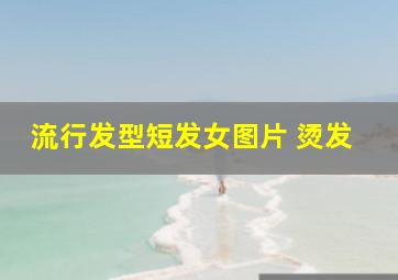 流行发型短发女图片 烫发